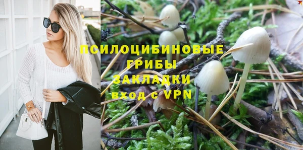 МДПВ Алексеевка