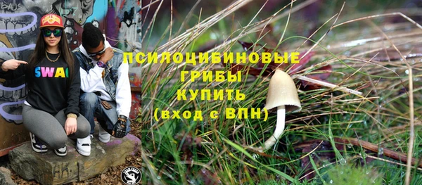 прущие грибы Алексин